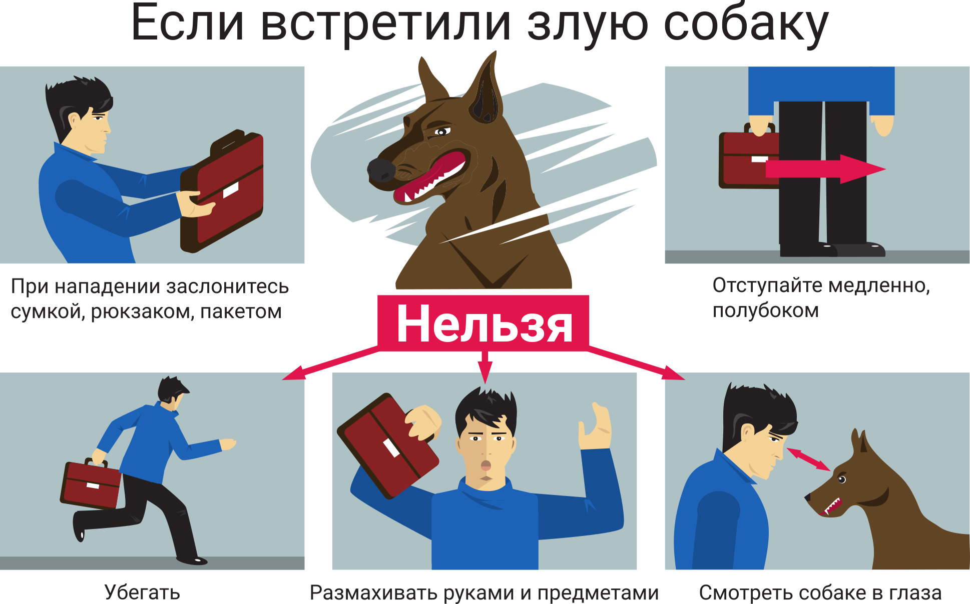 Памятка о действиях при угрозе нападения собак.