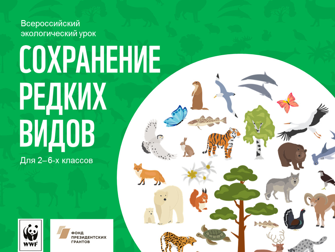 Всероссийский урок «Сохранение редких видов».